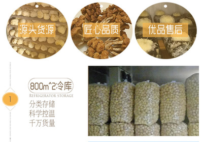 金针菇干货 无硫新标准，酒店与工厂的优选食材
