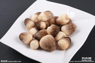 深圳生活物资配送与饲料销售服务指南