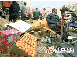 四川生蛆柑橘未流入乌鲁木齐市场，市民可放心购买食用