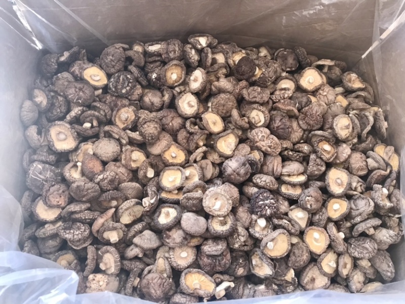 河南泌阳干香菇批发市场探析 品质与价格的平衡点